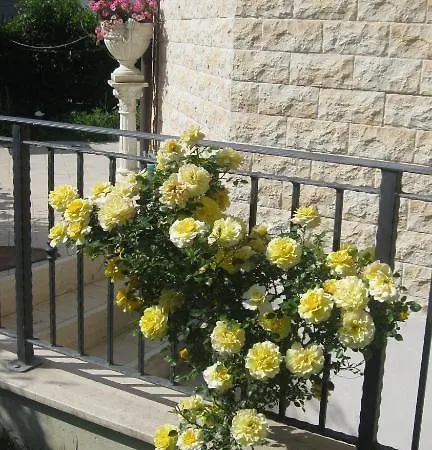 Bed & Breakfast La Tartaruga 3*