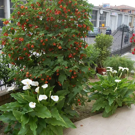 Bed & Breakfast La Tartaruga Civitanova Marche