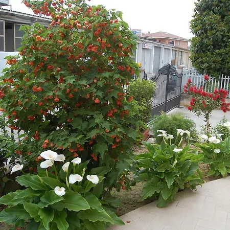 Bed & Breakfast La Tartaruga