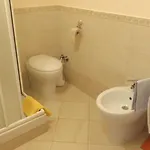 La Tartaruga 3* Civitanova Marche